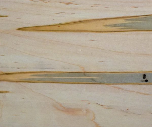 ambrosia maple featured image